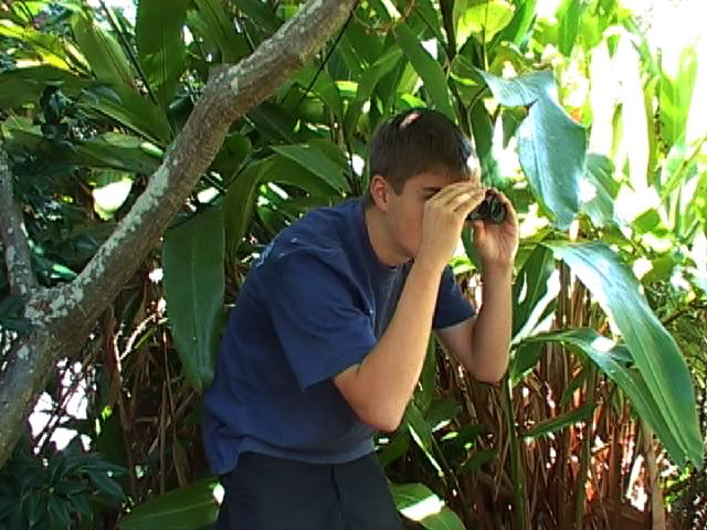 harky-binoculars.jpg